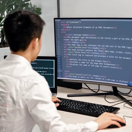 Software Developer