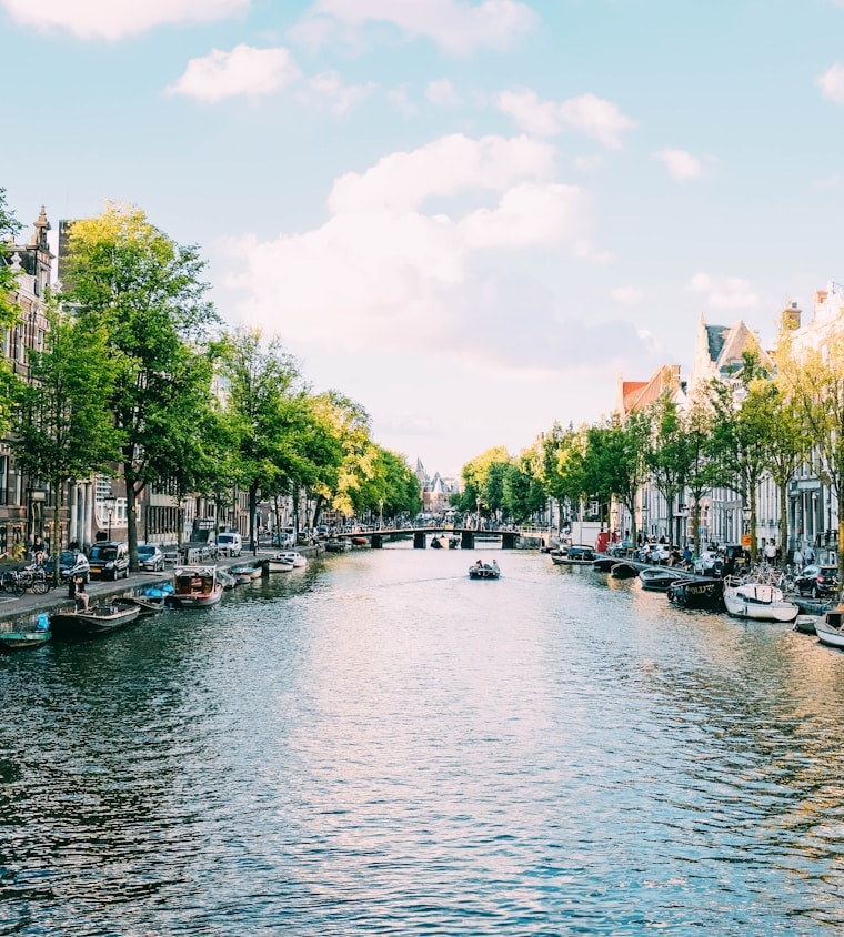 Study in Netherlands