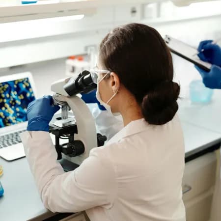 Biomedical Engineering