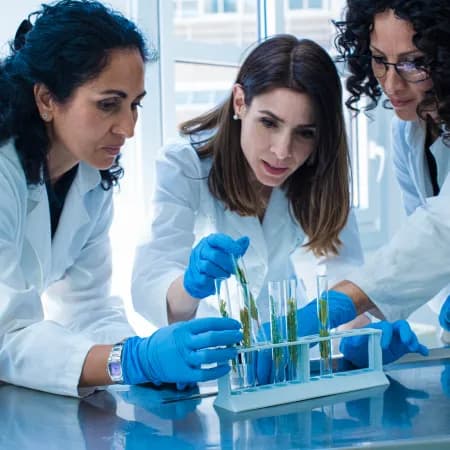 Chemical Engineering